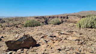 2024-02-GranCan-Playa Del Aguila-Trek-83.jpg